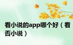 看小说的app哪个好（看否小说）