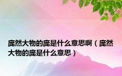 庞然大物的庞是什么意思啊（庞然大物的庞是什么意思）