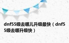 dnf55级去哪儿升级最快（dnf55级去哪升级快）