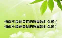 他都不会理会你的感受是什么歌（他都不会理会我的感受是什么歌）