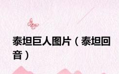 泰坦巨人图片（泰坦回音）