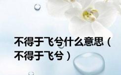 不得于飞兮什么意思（不得于飞兮）