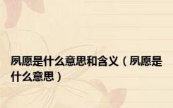 夙愿是什么意思和含义（夙愿是什么意思）