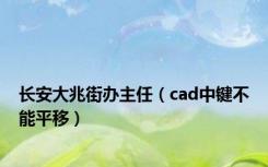 长安大兆街办主任（cad中键不能平移）