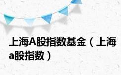 上海A股指数基金（上海a股指数）