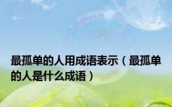 最孤单的人用成语表示（最孤单的人是什么成语）