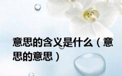 意思的含义是什么（意思的意思）
