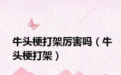 牛头梗打架厉害吗（牛头梗打架）