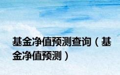 基金净值预测查询（基金净值预测）