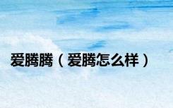 爱腾腾（爱腾怎么样）