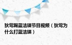 狄莺踢蓝洁瑛节目视频（狄莺为什么打蓝洁瑛）