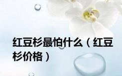 红豆杉最怕什么（红豆杉价格）