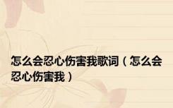 怎么会忍心伤害我歌词（怎么会忍心伤害我）