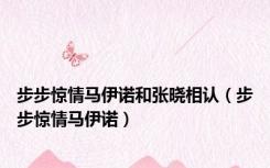 步步惊情马伊诺和张晓相认（步步惊情马伊诺）