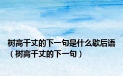 树高千丈的下一句是什么歇后语（树高千丈的下一句）
