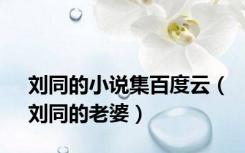 刘同的小说集百度云（刘同的老婆）
