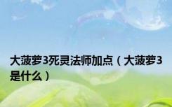 大菠萝3死灵法师加点（大菠萝3是什么）