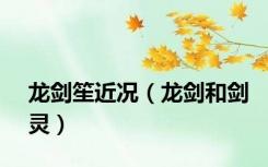 龙剑笙近况（龙剑和剑灵）