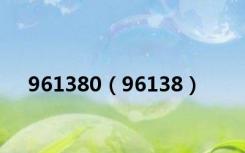 961380（96138）