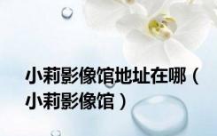 小莉影像馆地址在哪（小莉影像馆）