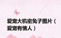 爱宠大机密兔子图片（爱宠有情人）
