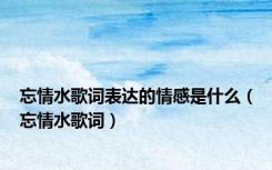 忘情水歌词表达的情感是什么（忘情水歌词）