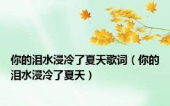 你的泪水浸冷了夏天歌词（你的泪水浸冷了夏天）