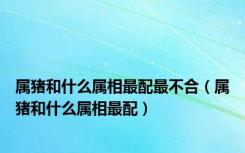属猪和什么属相最配最不合（属猪和什么属相最配）