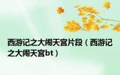 西游记之大闹天宫片段（西游记之大闹天宫bt）