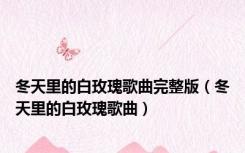 冬天里的白玫瑰歌曲完整版（冬天里的白玫瑰歌曲）