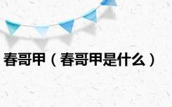 春哥甲（春哥甲是什么）