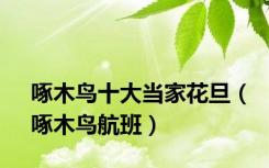 啄木鸟十大当家花旦（啄木鸟航班）