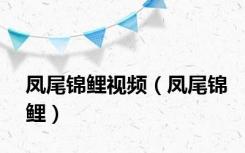 凤尾锦鲤视频（凤尾锦鲤）