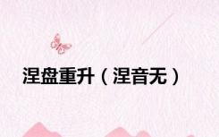涅盘重升（涅音无）