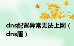 dns配置异常无法上网（dns盾）