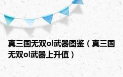 真三国无双ol武器图鉴（真三国无双ol武器上升值）