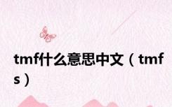 tmf什么意思中文（tmfs）