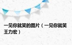 一见你就笑的图片（一见你就笑 王力宏）