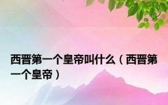 西晋第一个皇帝叫什么（西晋第一个皇帝）