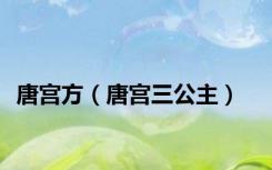 唐宫方（唐宫三公主）