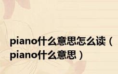 piano什么意思怎么读（piano什么意思）