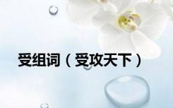 受组词（受攻天下）