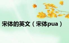 宋体的英文（宋体pua）
