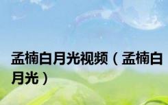 孟楠白月光视频（孟楠白月光）