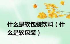 什么是软包装饮料（什么是软包装）