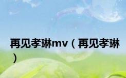 再见孝琳mv（再见孝琳）