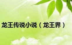 龙王传说小说（龙王界）