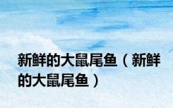 新鲜的大鼠尾鱼（新鲜的大鼠尾鱼）