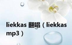 liekkas 翻唱（liekkas mp3）