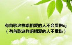 有首歌这样唱相爱的人不会受伤dj（有首歌这样唱相爱的人不受伤）